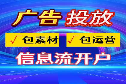 XX行业竞价广告的投放策略与效果分析